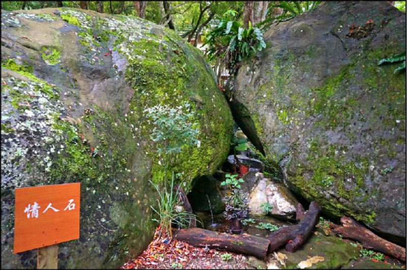 「山蘇的故鄉」擁有眾多奇岩怪石，此為「情人石」。