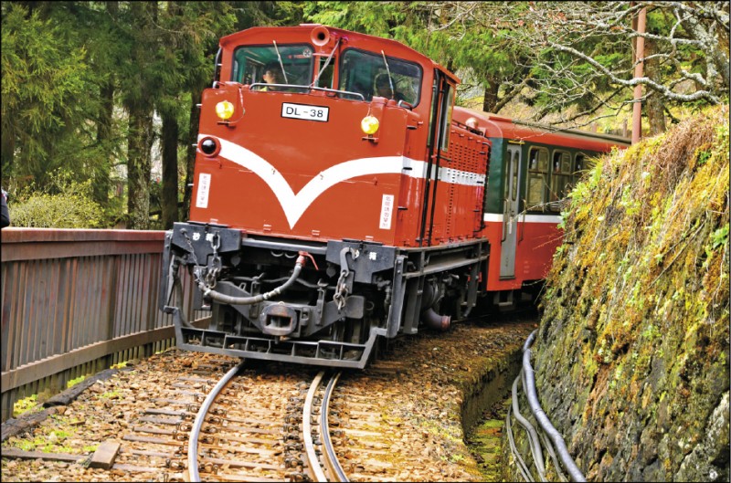 阿里山小火車亮麗獨特，常吸引遊客爭相拍照。