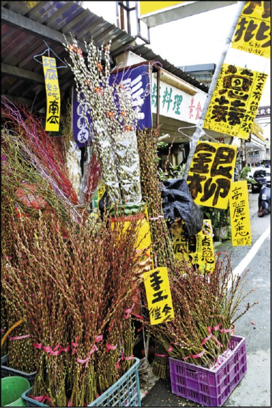 過年前來三星，滿街都可見鮮豔討喜的銀柳花束。