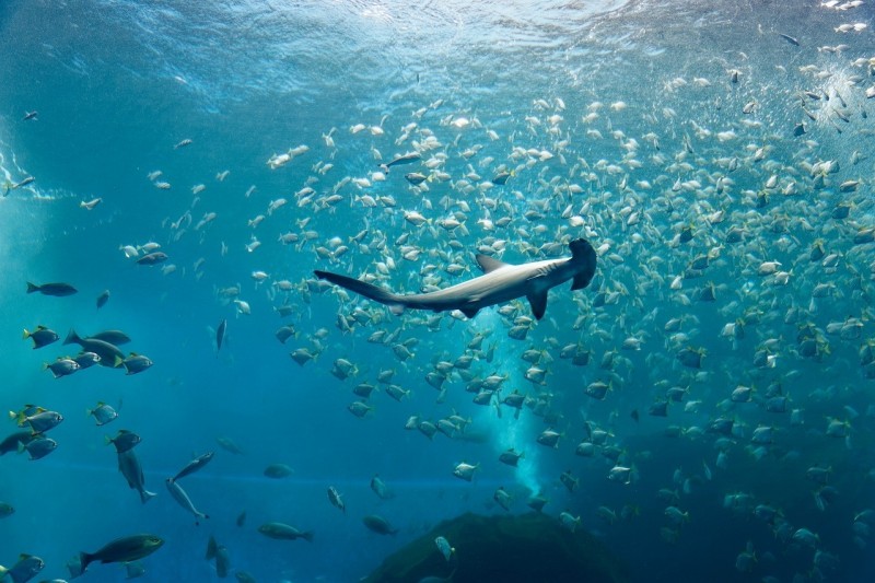 可樂旅遊推出的「來去桃園住一晚」，行程遍及桃園市區、商圈、老街、季節性景點，旅客可體驗桃園多元魅力。圖為桃園XPARK。（可樂旅遊提供）
