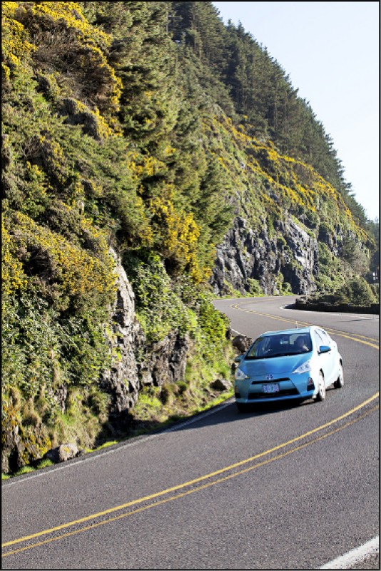 自駕遊減少大眾公共運輸的搭乘，預計是疫情發生後，多數人首選的旅遊方式。