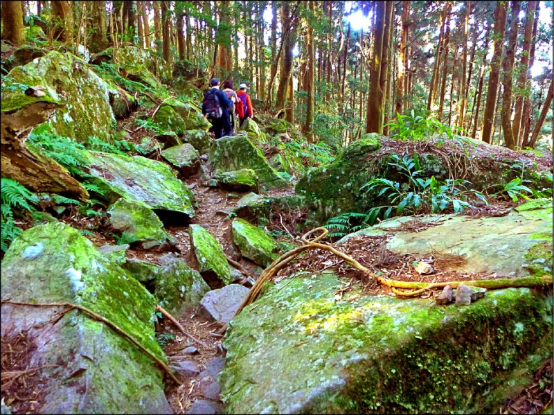 登山步道有不少變化，有時要穿梭在巨岩之間，增加挑戰，也帶來趣味性。