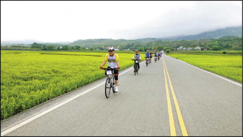 池上伯朗大道的田園風光，每年吸引成千上萬的遊客。