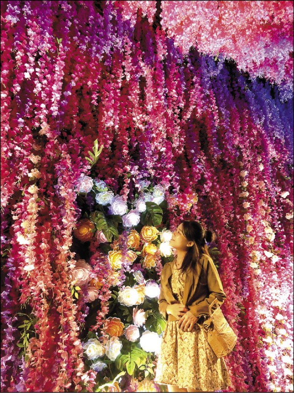 今年的嘉義光影藝術展已經展開。