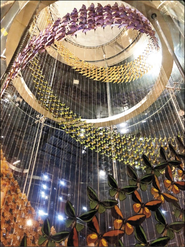 嘉大昆蟲館擁有旋轉彩蝶柱。