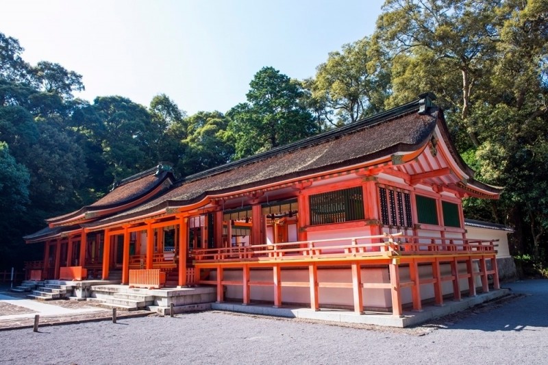 虎年參拜寺院神社祈福日本大分縣超人氣能量景點集 自由藝文網