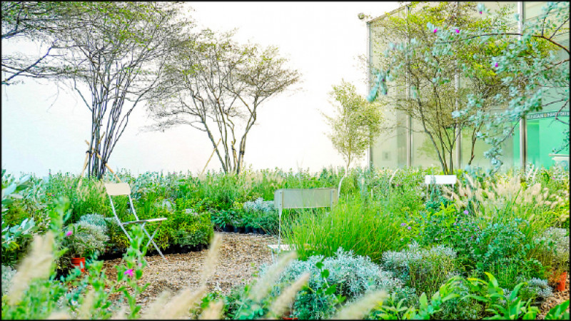 吳書原於北美館打造之「異托邦花園」，宛如迷宮的英式花園，唯美又超現實，梳理人類對於森林之嚮往的本質。