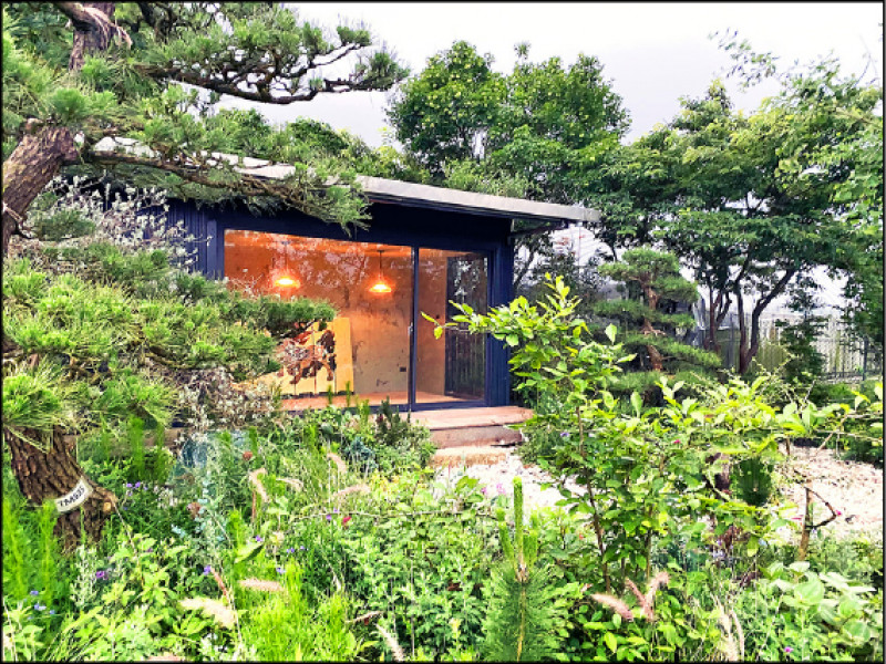 吳書原近來於陽明山苗圃場裏山內打造了一座「具有島嶼風格的禪宗花園」。