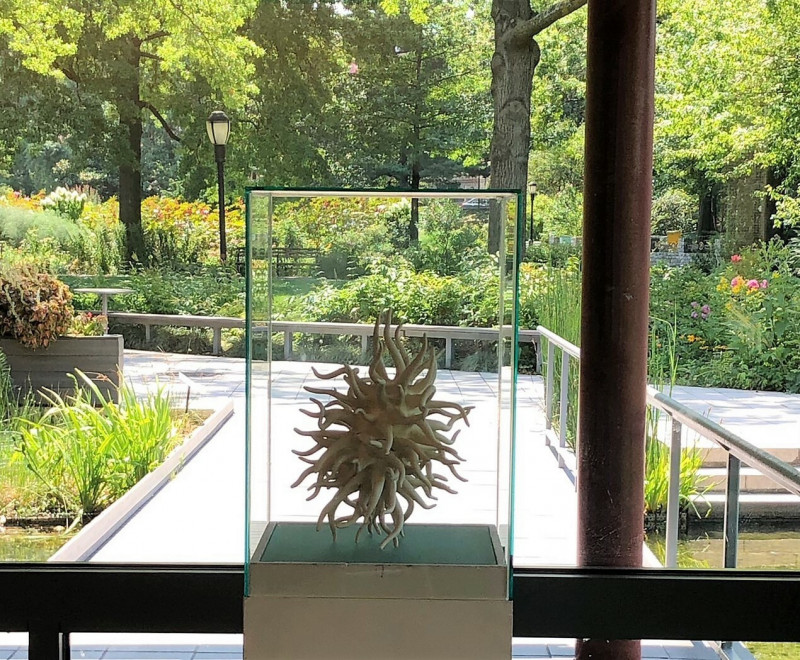 藝術家郭家瑄作品〈未知物件001〉，表達身處在繁華喧鬧的異國大城市裡，想像自己是某種漂浮生物，浸泡在城市的汁液裡，伸長感知的觸手，不停追尋一種生存與優雅的平衡狀態。（郭家瑄提供）