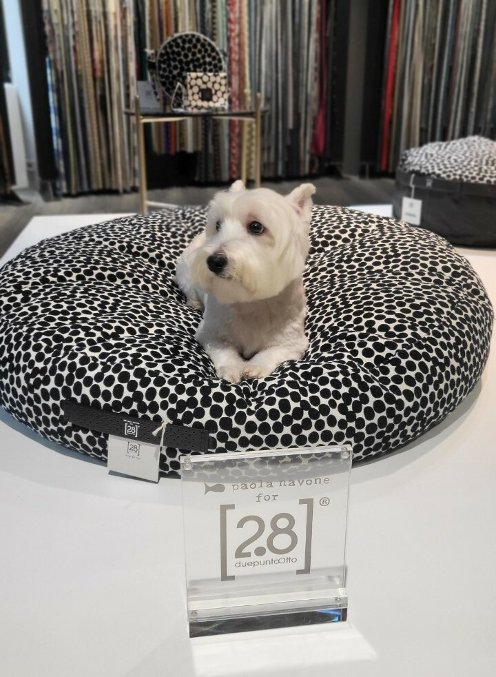 義大利設計教母Paola Navone 和 OTTO Studio 設計的寵物床，亦為2.8 Duepuntootto最新作品，還添加了黑白圓點印花，打造流行、俏皮氛圍。（安得利提供）