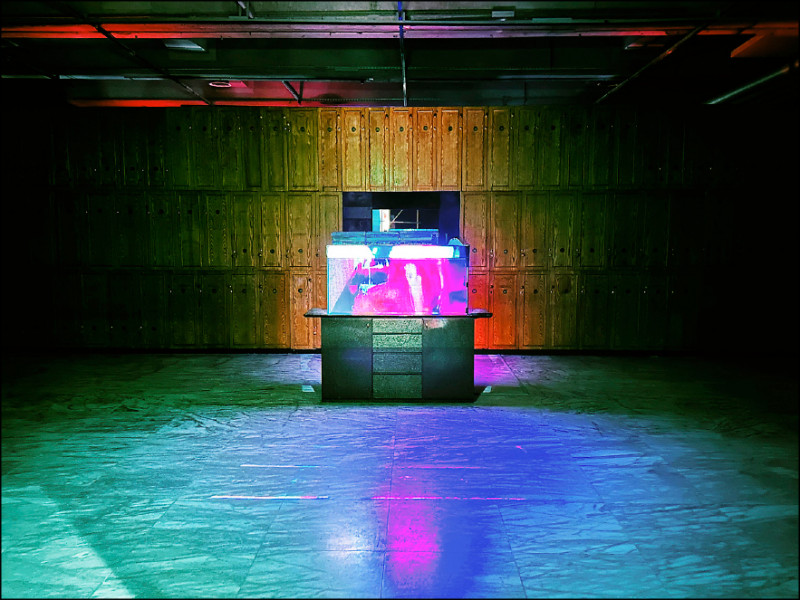 「居家娛樂―楊登棋（登曼波）個展」展場一景，展至2月12日。圖像由藝術家及台北市立美術館提供。
