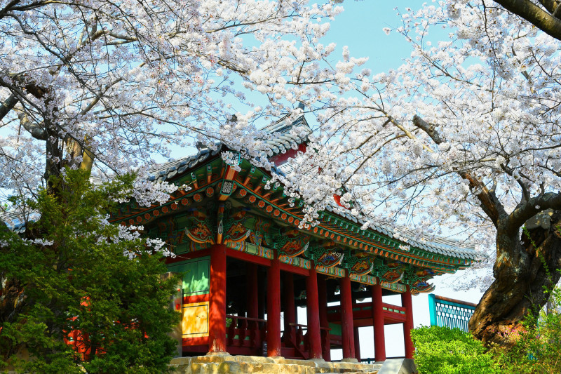 江陵是韓國觀光重點城市之一，圖為鏡浦台。（韓國觀光公社提供）