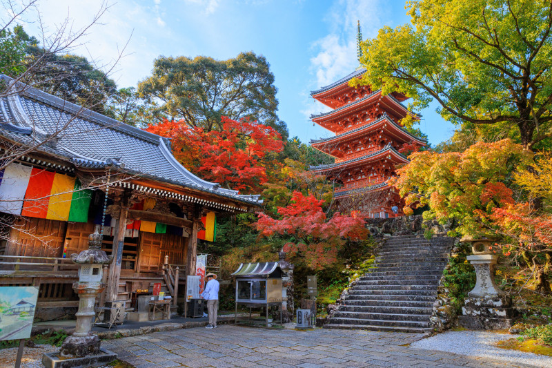 燦星旅遊高知秋日行程亮點之一是楓彩之旅，圖為竹林寺楓紅。（燦星旅遊提供）