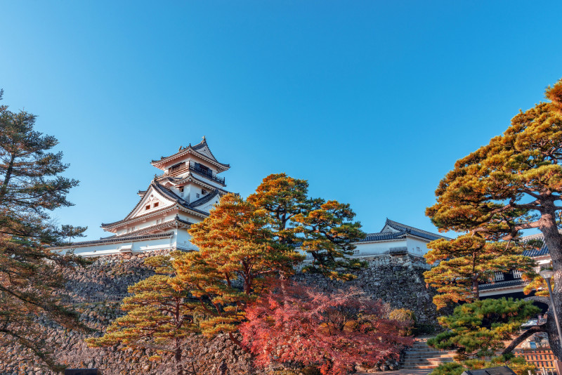 楓紅襯映雄偉高知城，成為秋日的高知代表景點。（燦星旅遊提供）