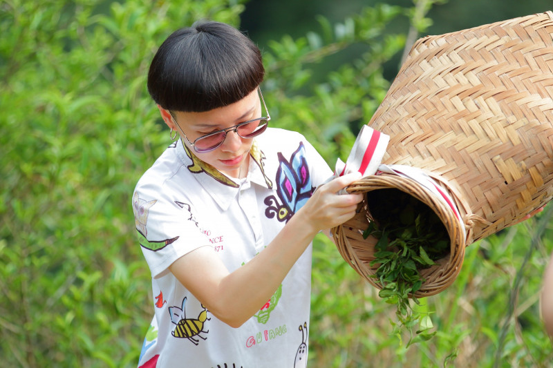 「品味茶香」暢遊谷芳有機茶園樣貌，動手製作美味可口的茶大福。（鶯歌陶博館提供）