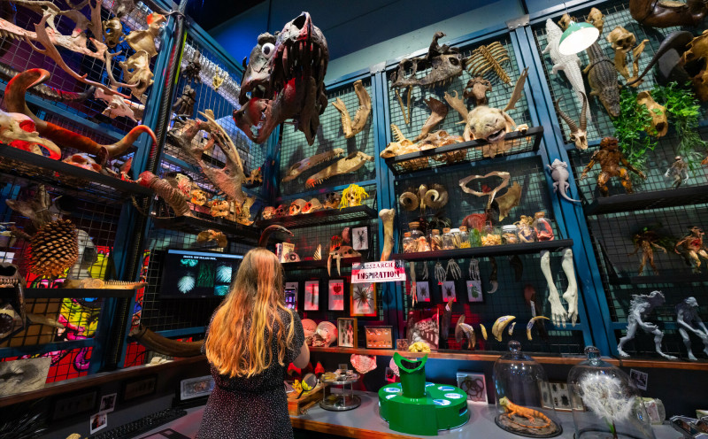 來維塔工作室可近距離參觀電影拍攝道具模型。（紐西蘭觀光局提供）