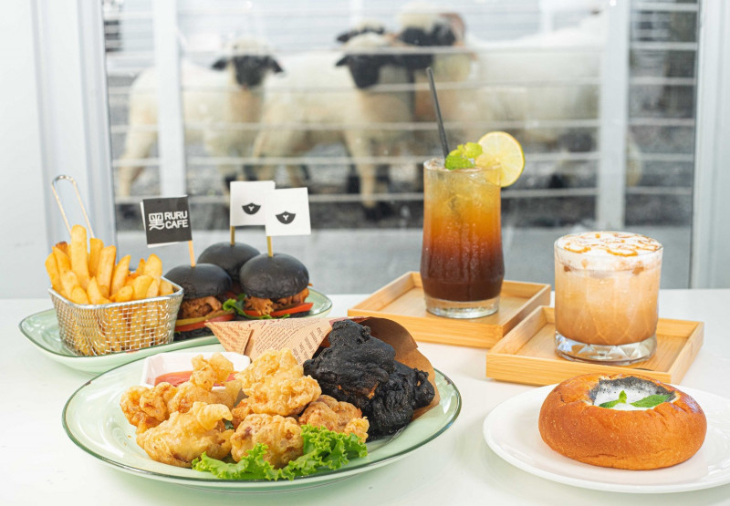 入住享入園與黑RURU CAFE與可愛的瓦萊黑鼻羊近距離互動，以及享用黑色系主題餐點及飲品。（綠舞國際觀光飯店提供）