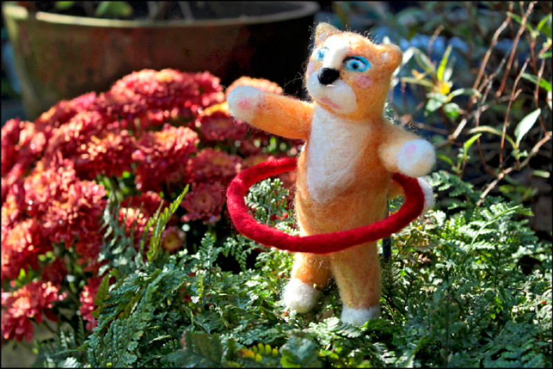 可以選擇的時候都想單獨一個人。