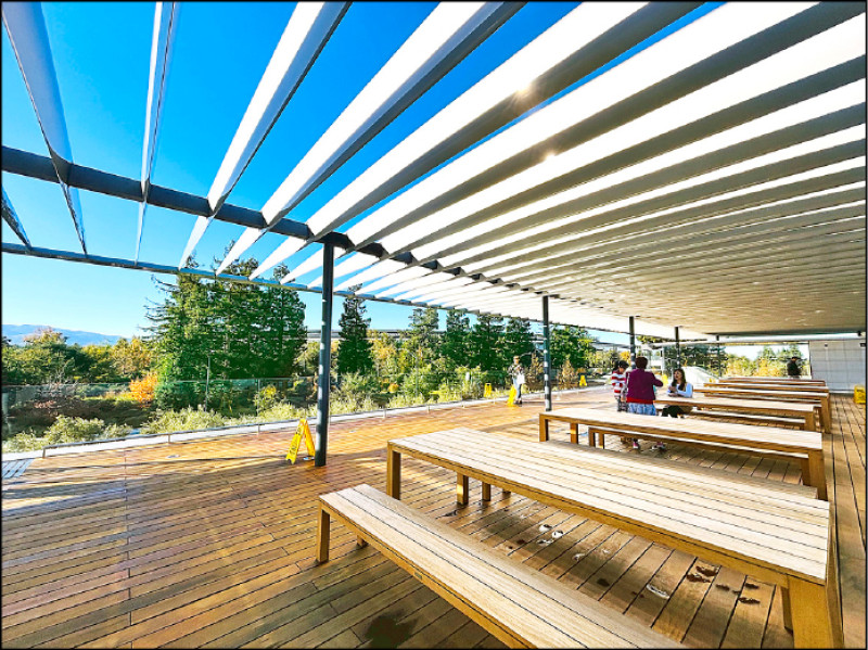 屋頂露台可眺望隱身在樹林中的環形總部一隅。