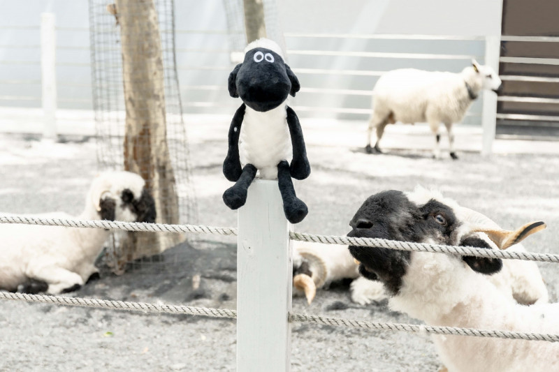 5月11至12日帶媽咪到黑RURU CAFE用餐享85折優惠、小黑鼻羊娃娃享8折優惠。（綠舞提供）