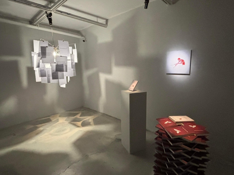 《沒有名字的女人》一書，以塔狀方式堆疊，供民眾免費索取。 （記者董柏廷攝）