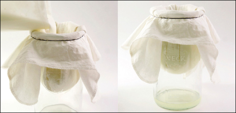 自製原味希臘優格步驟1