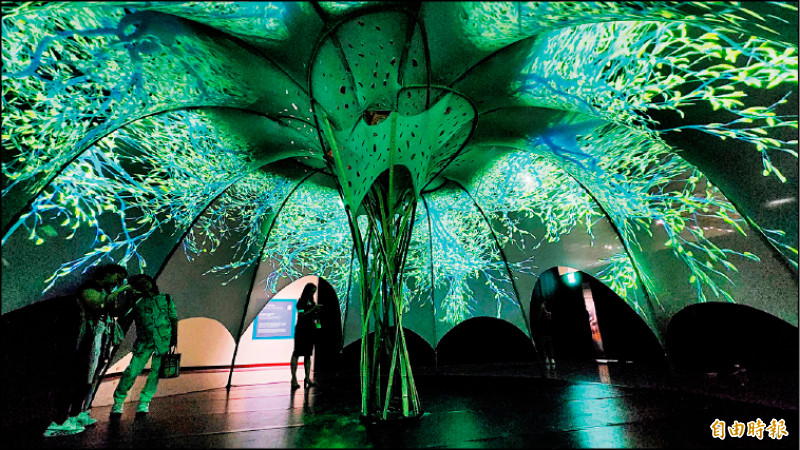 「尋找夢中的橄欖樹」展區讓人沉浸在經典詞曲意象中。（記者凌美雪攝）