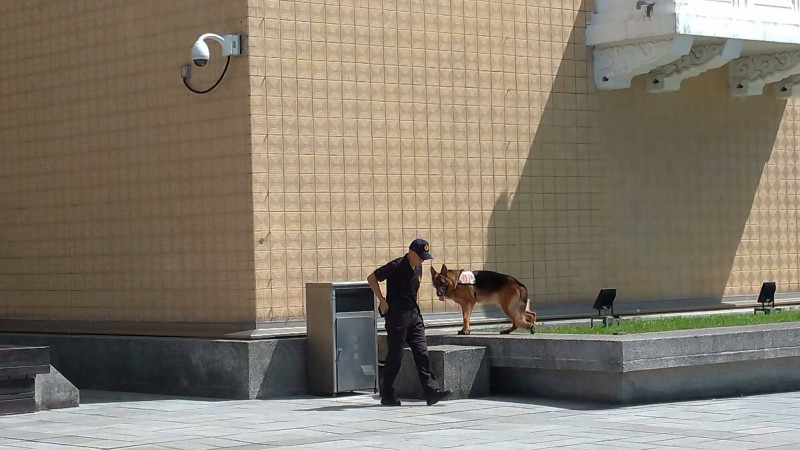 夜宿故宮有機會在隔日清晨與故宮巡邏犬驚喜相遇。（故宮提供）