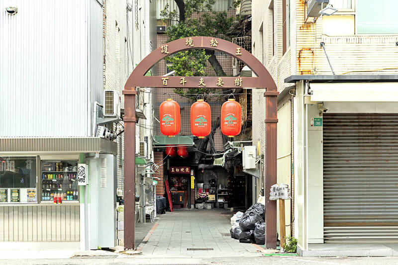 台南國華友愛商圈護境松王（夫妻樹）入口意象改造後，更容易識別。