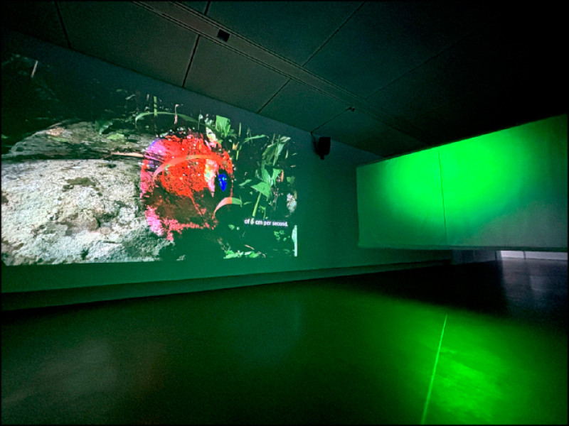 王永安《皮膚考：幽靈變數》雙頻道錄像裝置，HD彩色（有聲），13分59秒，2024。