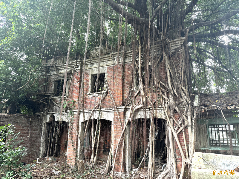 武秀才「翁慶春古宅」西式洋樓被榕樹包覆。（記者蔡宗勳攝）