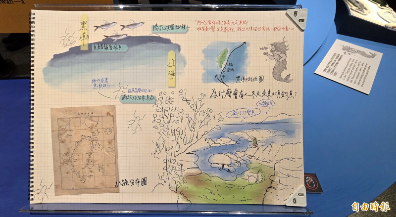 策展團隊在看過陳澄波的畫以後，所畫下的田調插圖，插圖同時提供陳澄波畫作裡的線索，並作爲展場中畫作與博物學的橋樑，是一種田野筆記的概念。（記者凌美雪攝）