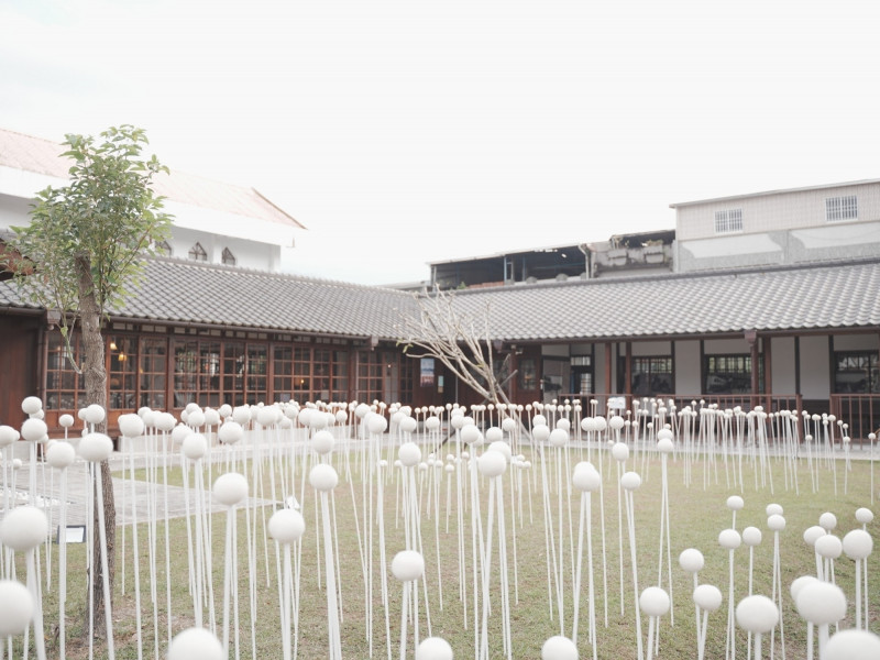 龜心山城藝術祭「迴山里」作品《螢螢》，打造出秋天的六龜佈滿甜根子草的銀白世界。（米濃聚落提供）