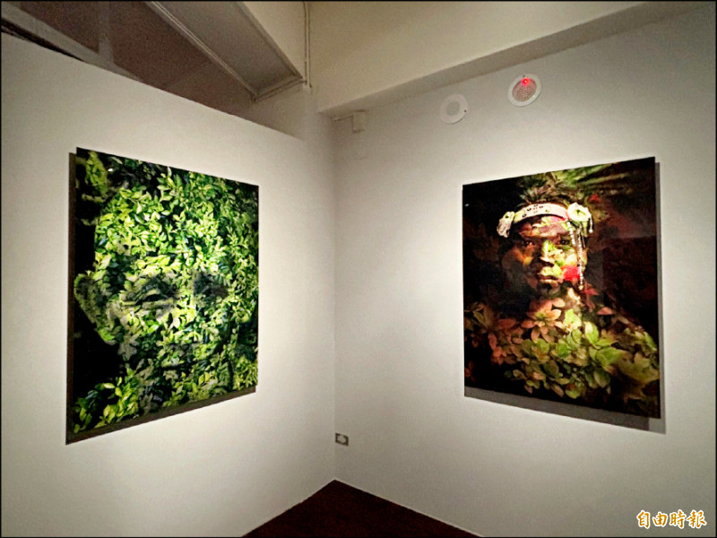 瓦歷斯．拉拜「隱形計畫系列」作品，以賽德克族的神話故事為創作基礎，講述祖先從神祕人形樹根繁衍而來的傳說。他透過數位後製技術，將族人肖像與樹木形象結合。
（記者董柏廷攝）