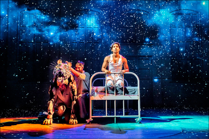 舞台版《少年Pi的奇幻漂流》以活靈活現的偶戲、如夢似幻的視覺特效，讓觀眾如身歷其境。（Johan Persson攝，國家兩廳院提供）