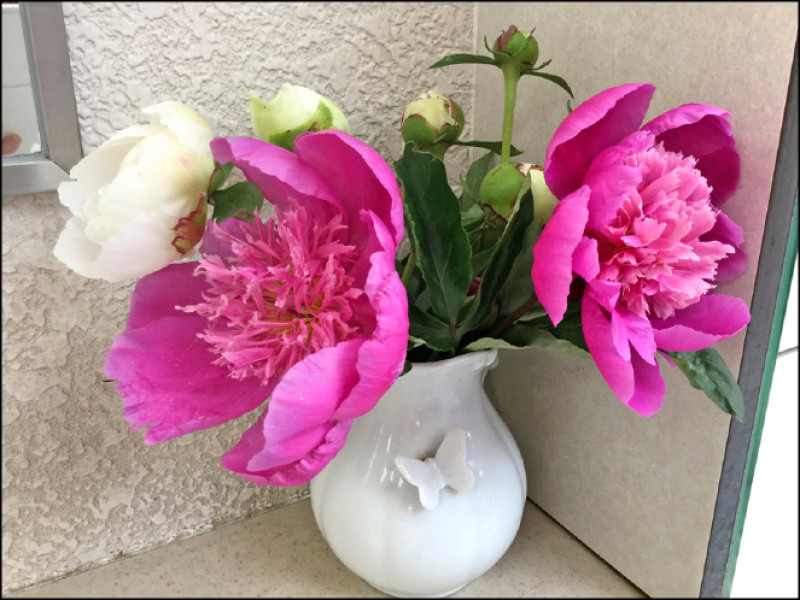 偶爾給自己買幾朵花隨意插，也會增添微微幸福。（劉黎兒攝）