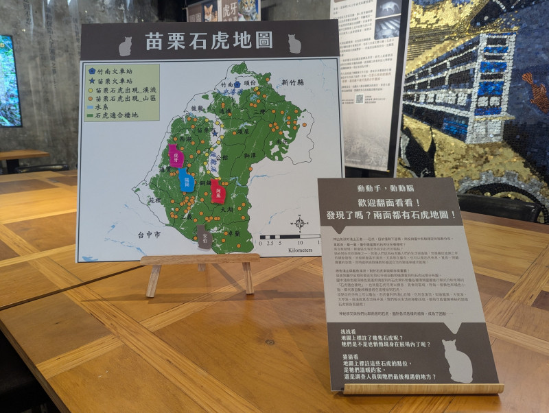 關注石虎、遊蕩犬貓議題，2團體打造聯展呈現困境。（主辦單位提供）