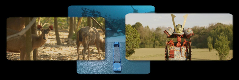 許家維《武士與鹿》。（鳳甲美術館提供）