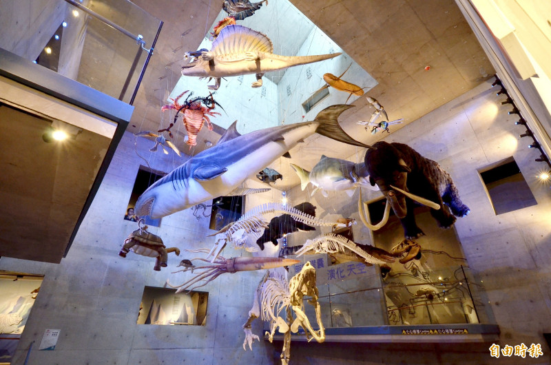左鎮化石園區結合館慶，5月3、4日舉辦以史前古生物為主題的講座活動，帶領親子探索台灣的生命演化。（記者吳俊鋒攝）
