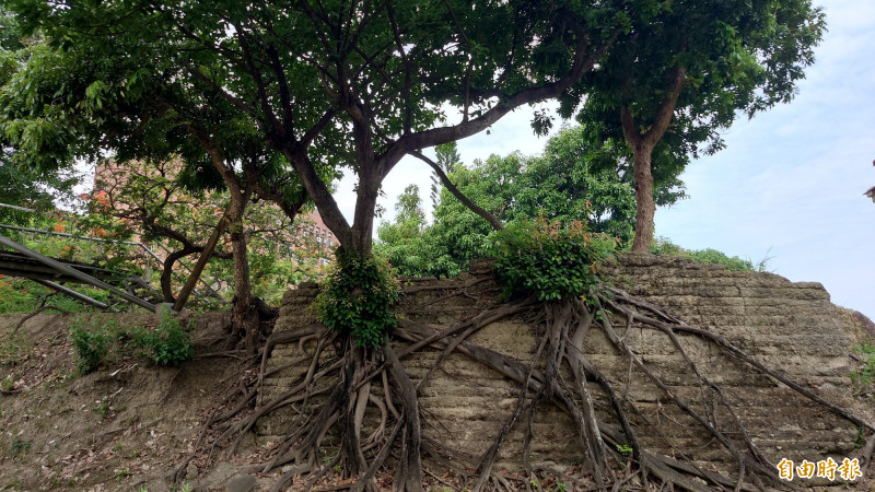 位於成大光復校區的小東門城垣遺址殘跡。（記者洪瑞琴攝）