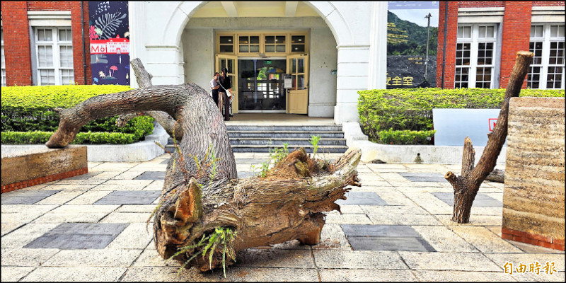 瑞士藝術家李奧納多作品《一層層疊起》。（記者凌美雪攝）