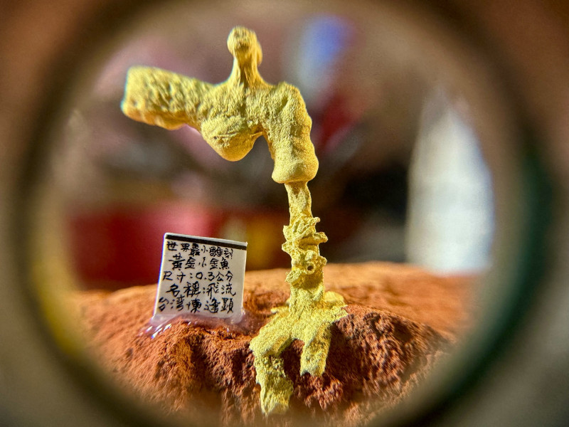 毫芒雕刻家陳逢顯的新作「懸浮之境」在水龍頭下的0.3公分金魚。（陳逢顯提供）