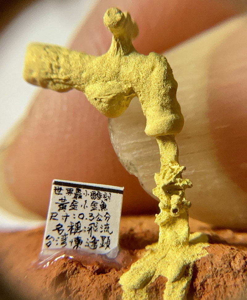 毫芒雕刻家陳逢顯的新作「懸浮之境」在水龍頭下的0.3公分金魚。（陳逢顯提供）