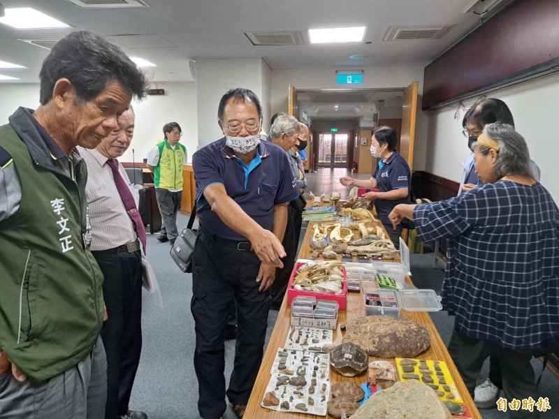 王良傑受南市議員李啟維之邀，在南市議會展示及向民眾說明每一件化石的故事。（記者蔡文居攝）