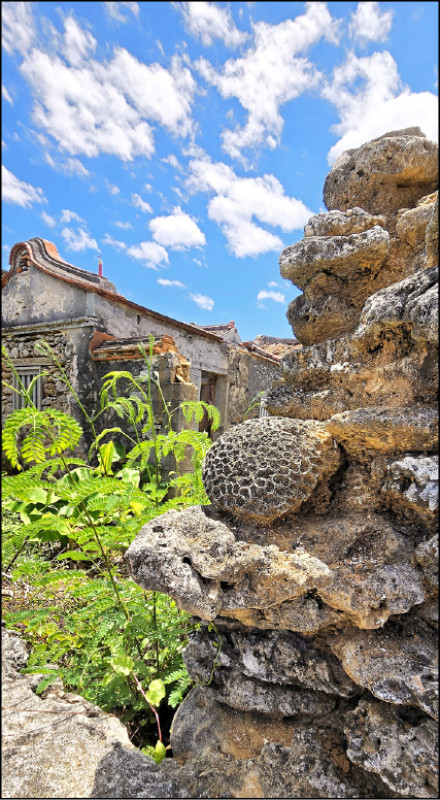「花宅」建築多為澎湖就地取材，如今石牆上仍可見珊瑚礁石灰岩的構造。