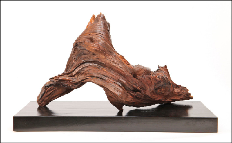 施鎮洋在千年檜木樹根上的巧雕作品〈希望〉。