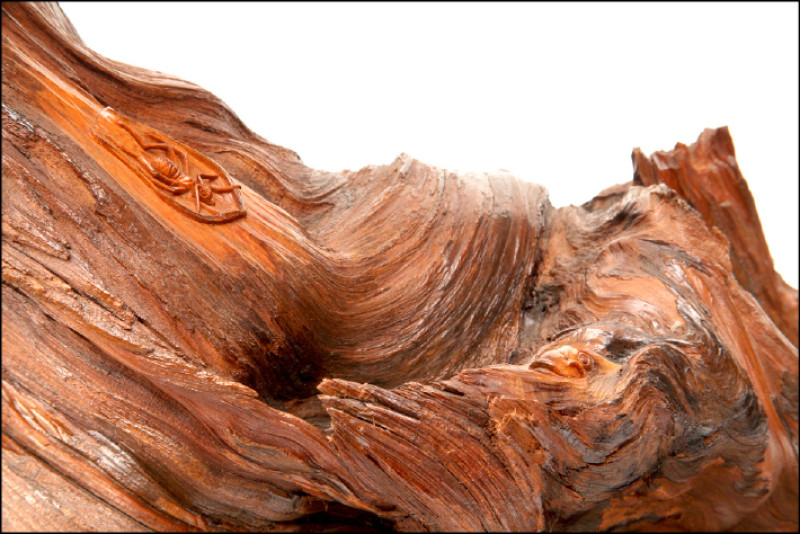 施鎮洋以荷花瓣上的螞蟻象徵渡化至彼岸的作品〈希望〉（局部）。