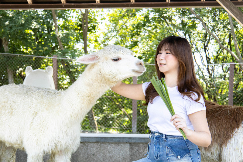 入住享受餵食萌寵樂趣，與眾多可愛萌寵互動超紓壓。（綠舞國際觀光飯店提供）
