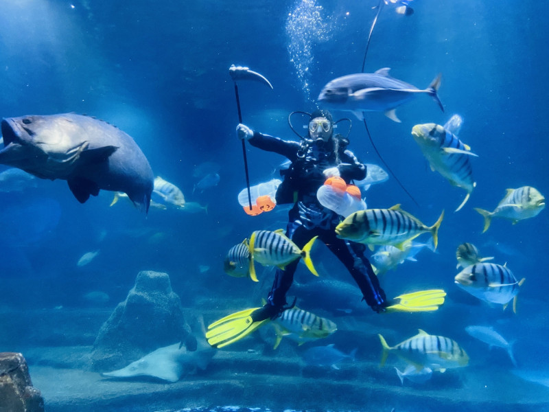 遠雄海洋公園每日2場「萬聖骷髏MAN餵食秀」，是萬聖狂歡亮點之一。（遠雄海洋公園提供）