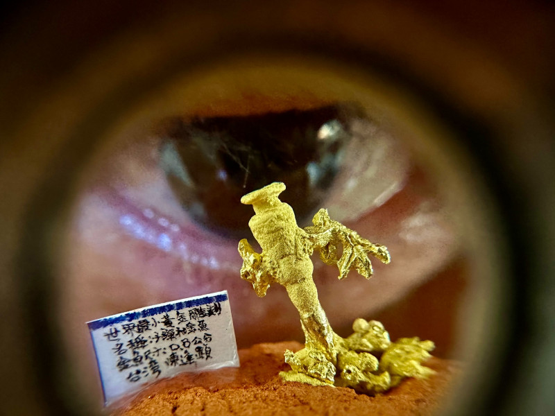 世界最小黃金雕刻作品〈子彈與金魚〉登場。（陳逢顯毫芒雕刻館提供）